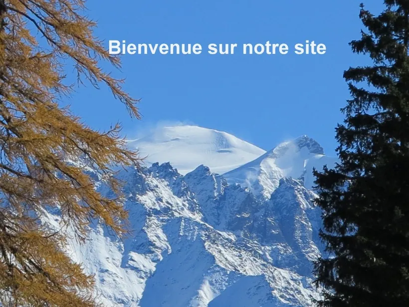Vue du petit Combin enneigé